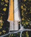 Road bridge being built over trees